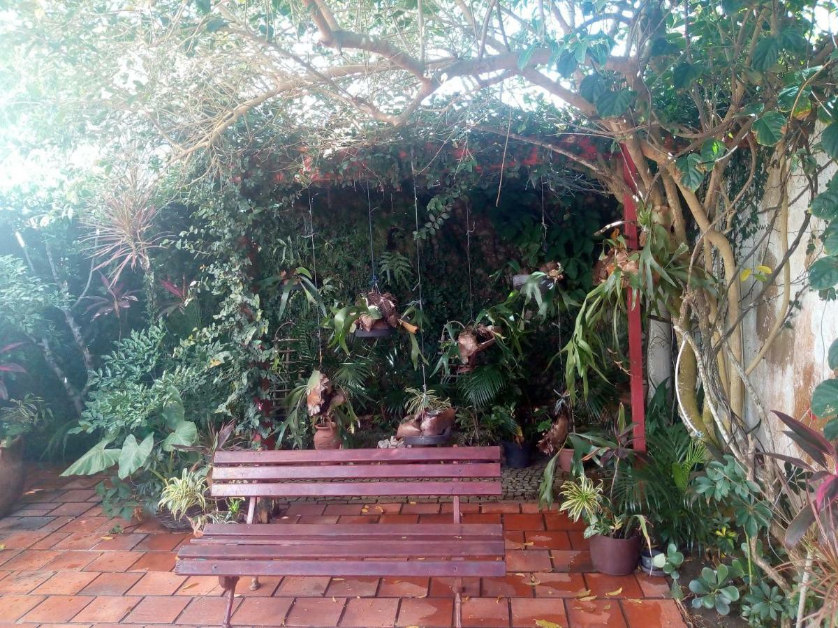 Albergue Aloha *